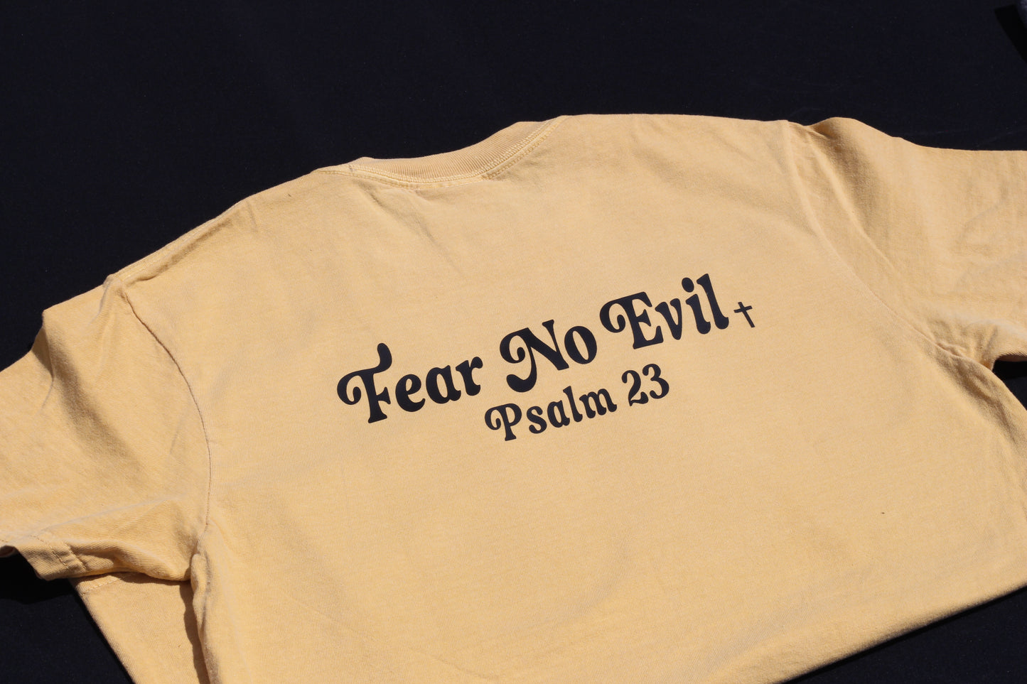 Fear No Evil