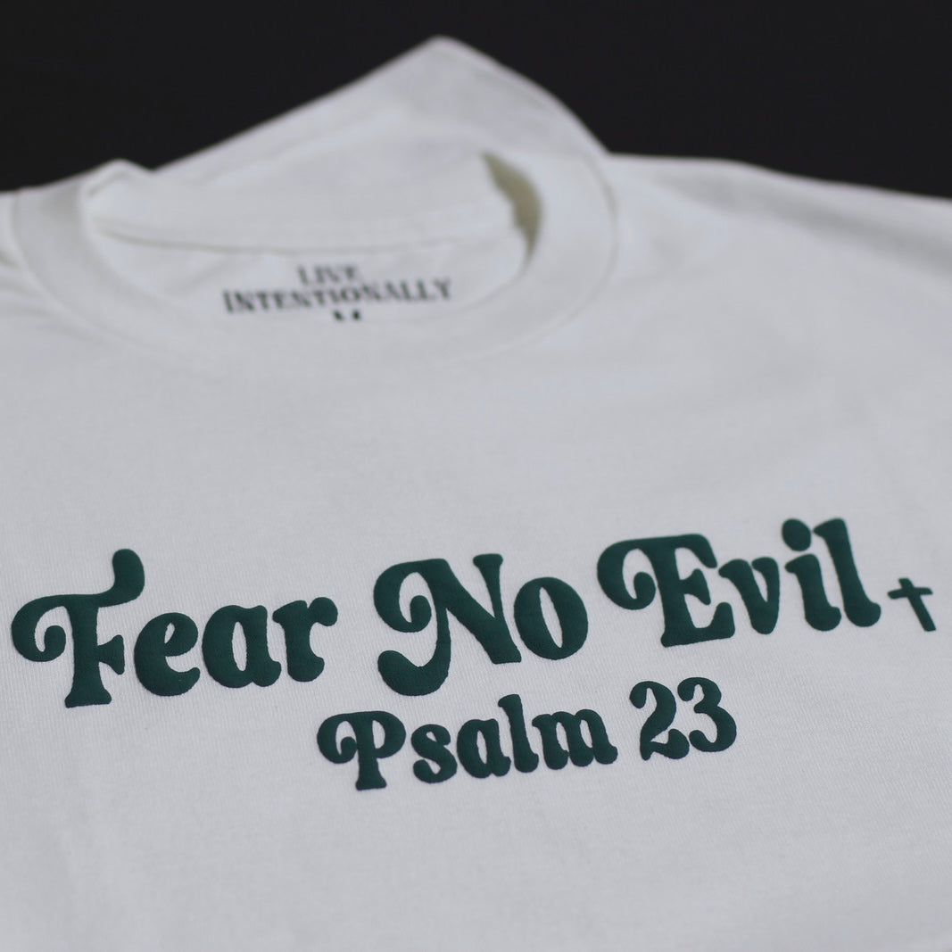 Fear No Evil